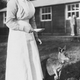 Illustration for article titled Australia took kangaroos as mascots to World War I